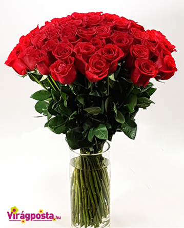 Virágposta - Csak szerelmes rózsák - óriás rózsacsokor