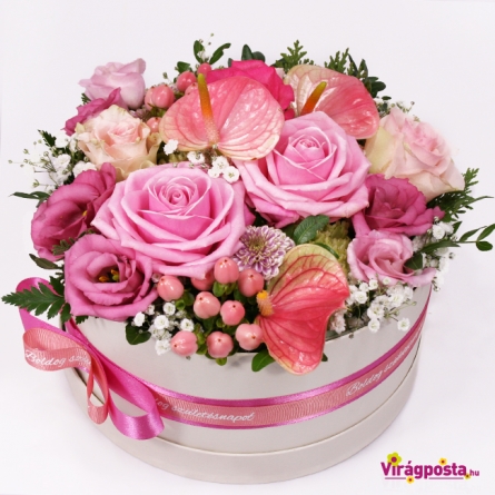 Virágposta - Pink bársony - rózsás virágdoboz